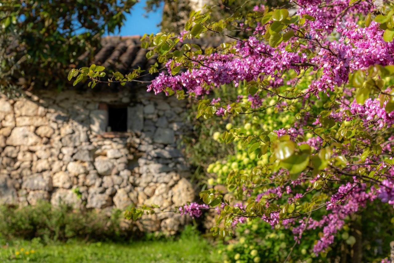 La Maison De Yuka Plieux エクステリア 写真